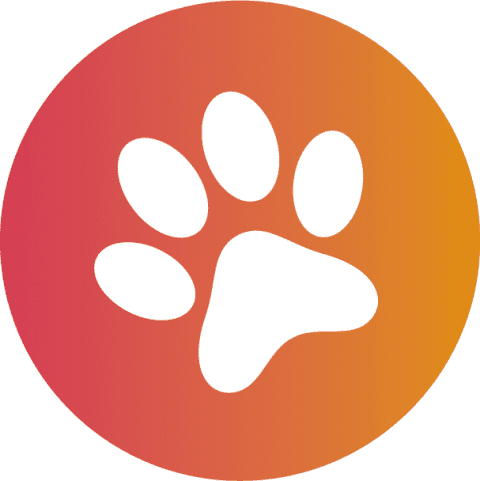 Rabbit Rescue North West | Rescuing and Rehoming Rabbits